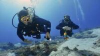 Diving Insurance Indonesia -- Diving Insurance Indonesia
