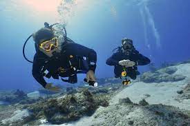 Diving Insurance Indonesia