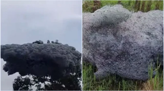 Viral! Video ‘Awan’ Hitam Terbang di Langit Subang Mendarat di Sawah