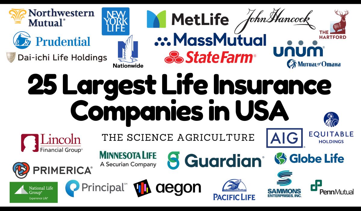 Insurance Company Is Usa Insurance Company Is Usa