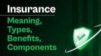 Insurance For Meaning 1 Insurance For Meaning