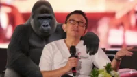 Viral dr. Ryu Hasan Bicara IQ Orang Indonesia: ‘Turun Sedikit Lagi jadi Gorila!’ Publik Heboh, Masa Iya? Viral dr. Ryu Hasan Bicara IQ Orang Indonesia: ‘Turun Sedikit Lagi jadi Gorila!’ Publik Heboh, Masa Iya?