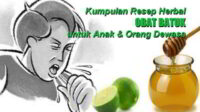 Ternyata Mudah! Mengobati Batuk: Obat Batuk Tradisional