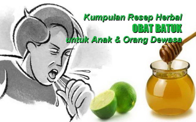 Ternyata Mudah! Mengobati Batuk: Obat Batuk Tradisional Ternyata Mudah! Mengobati Batuk: Obat Batuk Tradisional