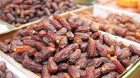 Kurma-