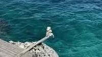 Viral! Video Heboh Siswi SMA Tenggelam saat Foto di Tebing Apparalang Bulukumba